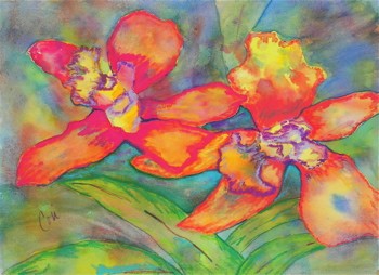 Orchids In Paradise