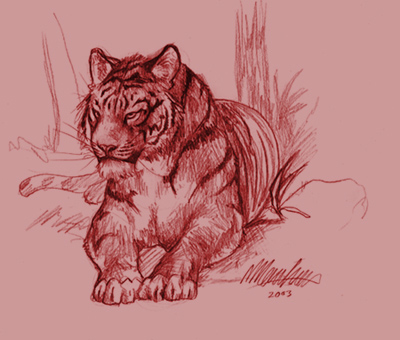 Tiggaz