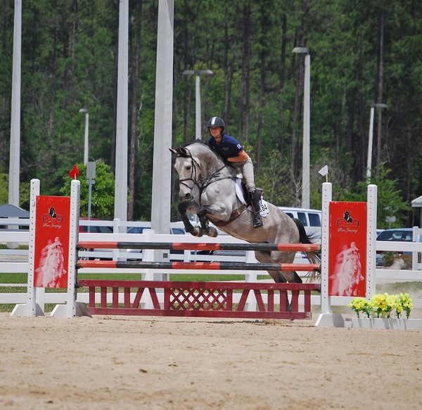 Horse Show