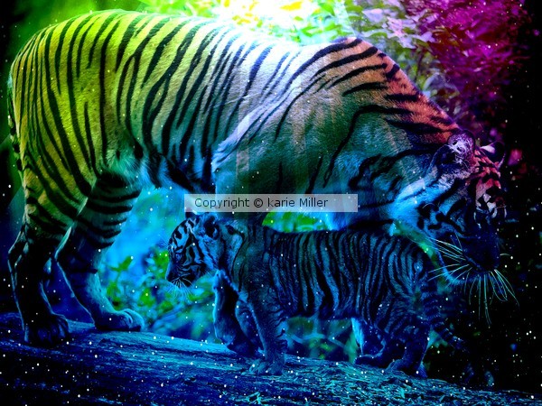 purrrfect love 3