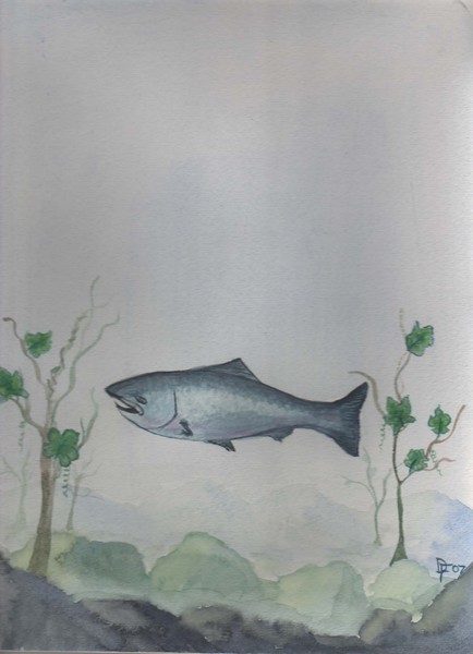 Salmon Tuna