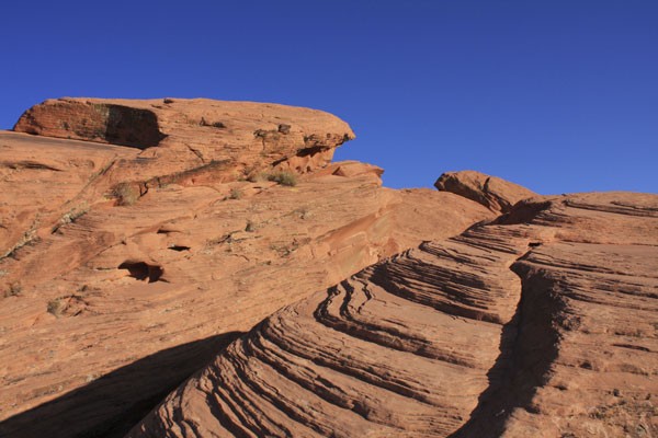 Desert Landscape