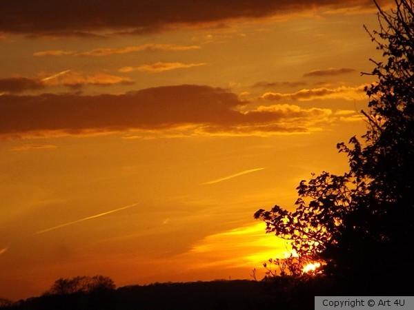 Calm.Evening.Sky