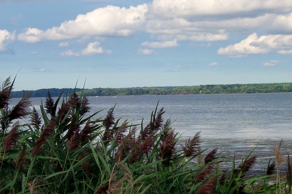 Walking The Shoreline