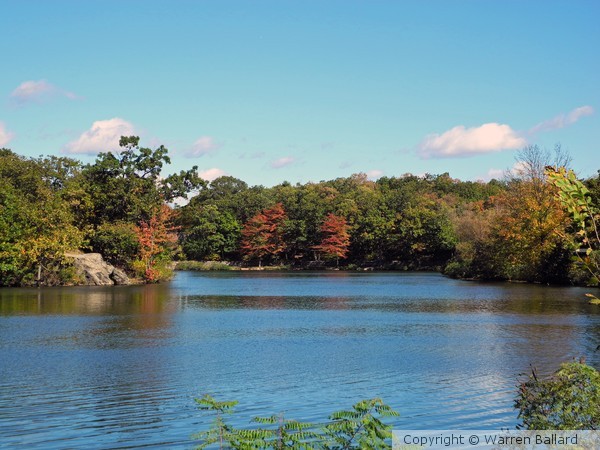 Fellsmere Pond 10/11/2012