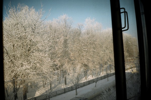winter