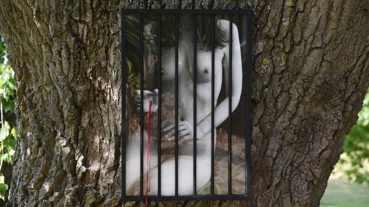 Prison Woman