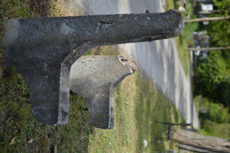 DSC 0100