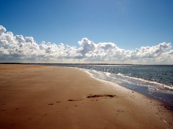 Glistening sea