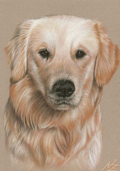 Sandy Nose