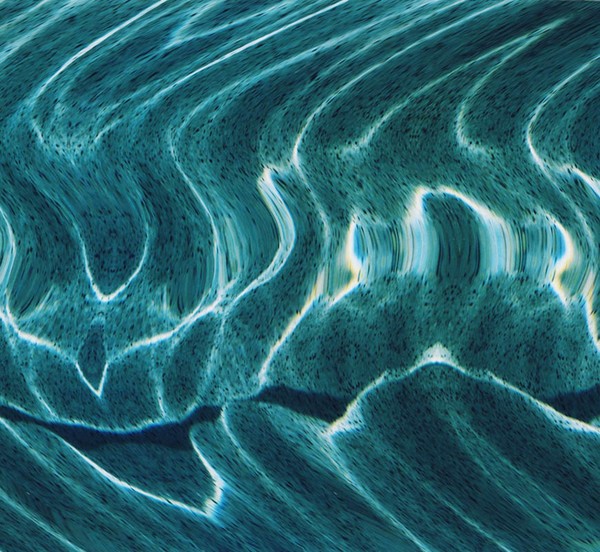 The Wave