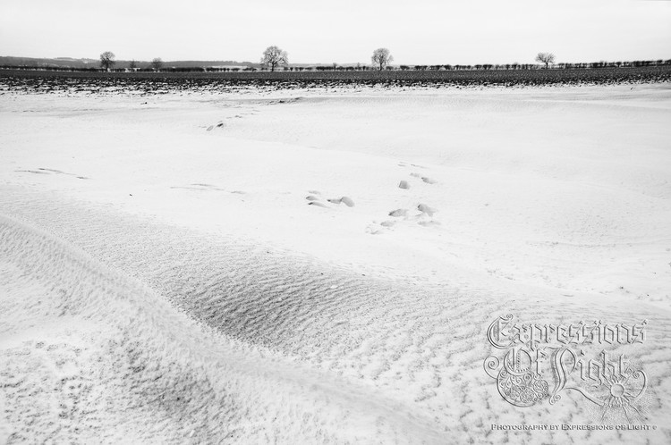 ExpoLight-The-Lincolnshire-Wolds-Winter-18-03-2018-0008 (SP)