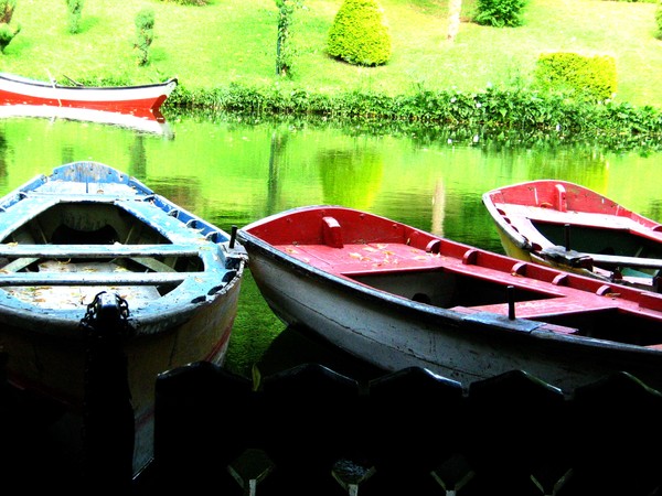 Boats