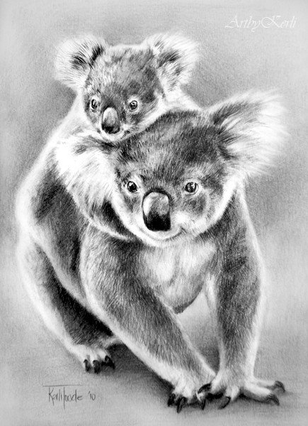 Koala mommy with her baby