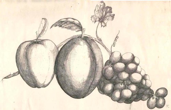 Fruit 3