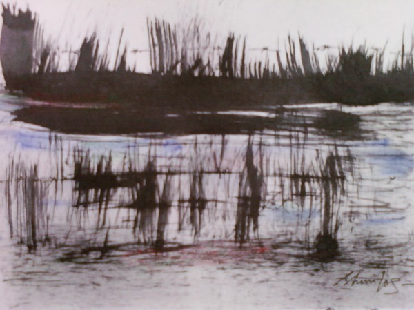 Grass land.