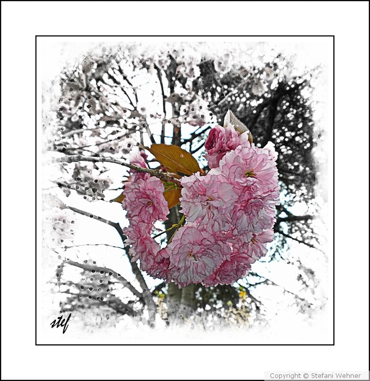 just a touch of pink