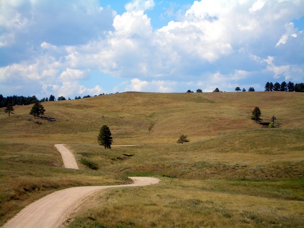 Custer State Park, South-Dakota