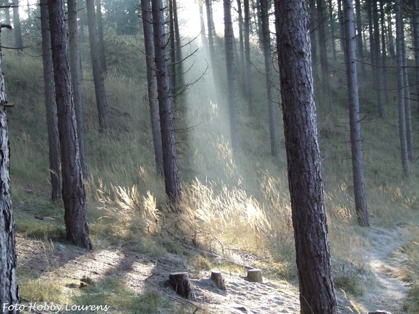 ray of light 