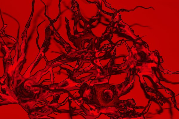 bacteria#2