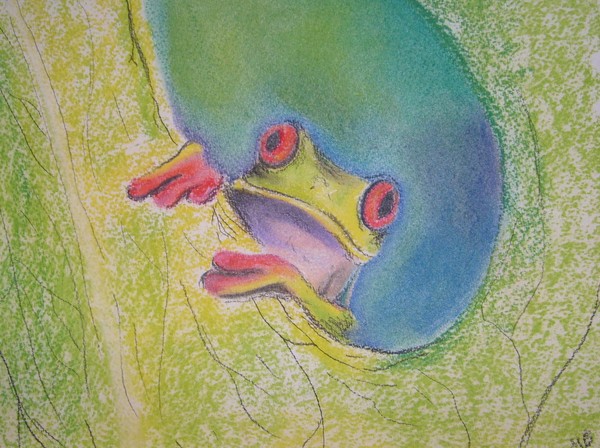 Frog 2