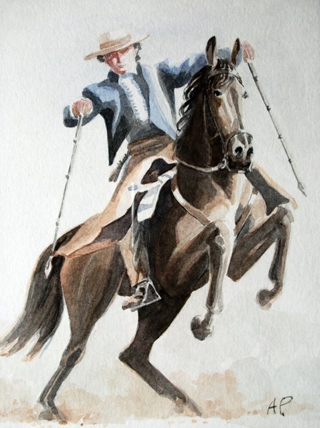 The Bullfighter