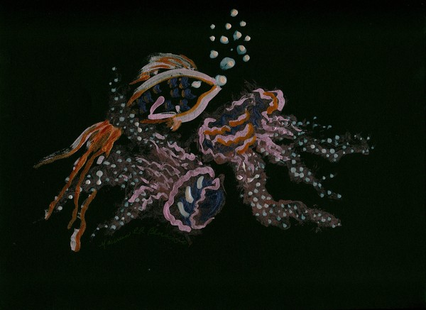 Sea Life
