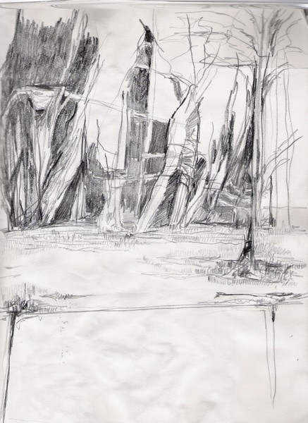 trees