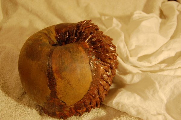 Porcupine Apple
