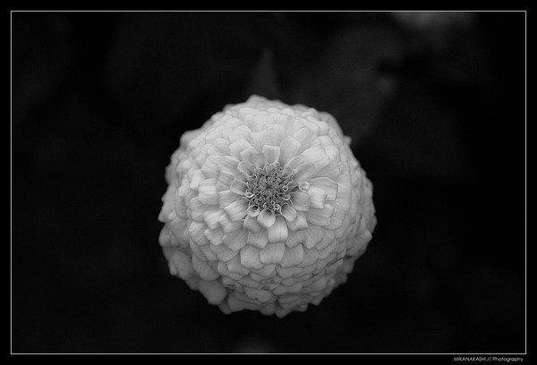 Drop