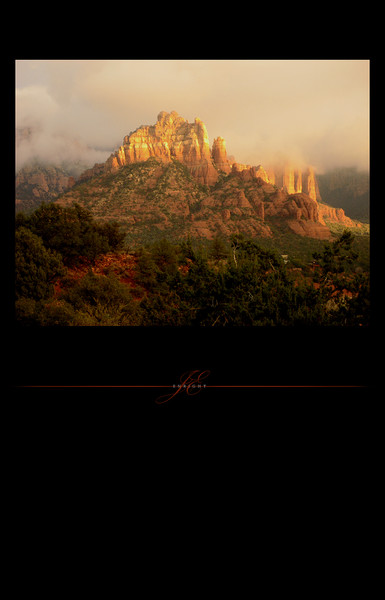 a new vue