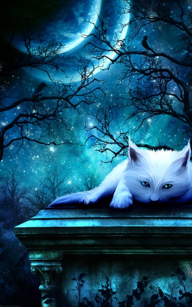 Ghost Cat