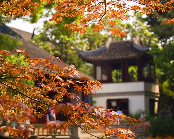 Autumn
