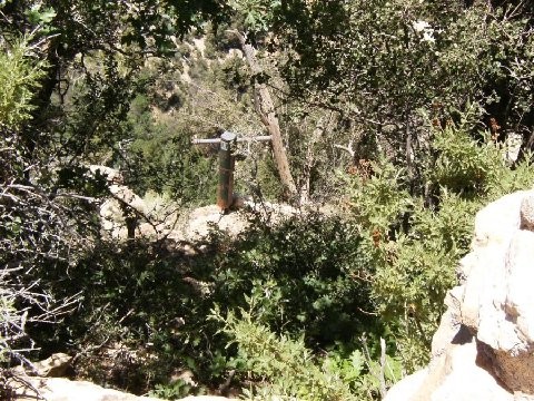 grand canyon plack  electric?