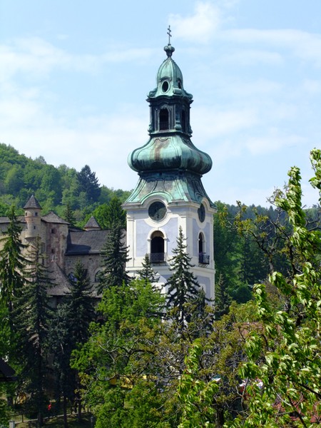 Among trees,land and sky