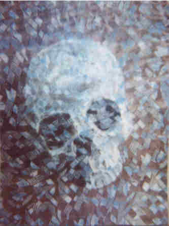 Reflecting Skulls