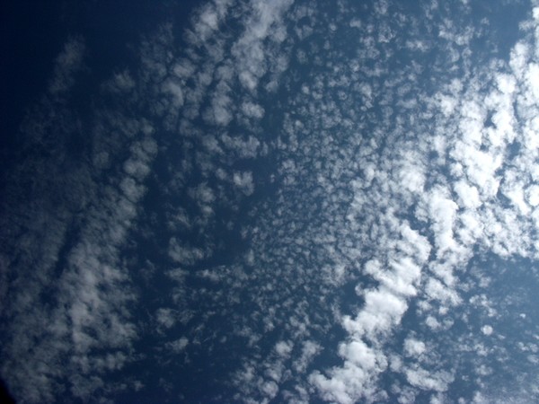 Cloud spree