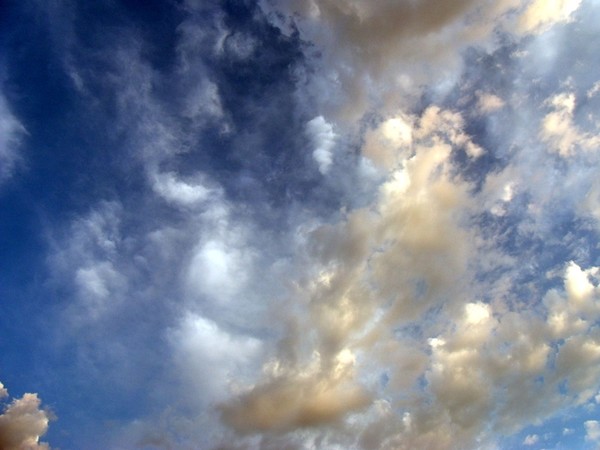 Untitled 4