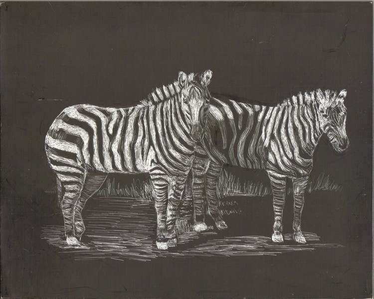 2 Zebras