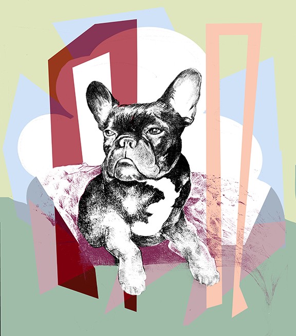 french dog