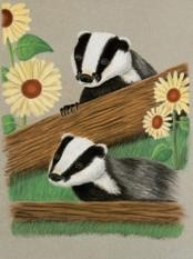 Badger
