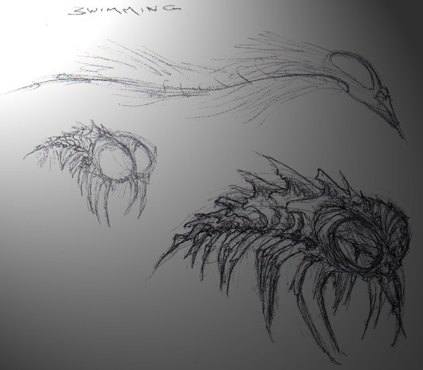 SwimBug
