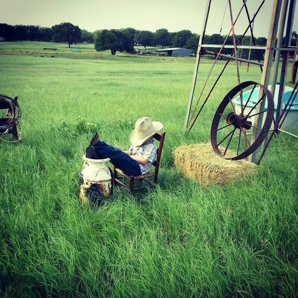 Nap time !