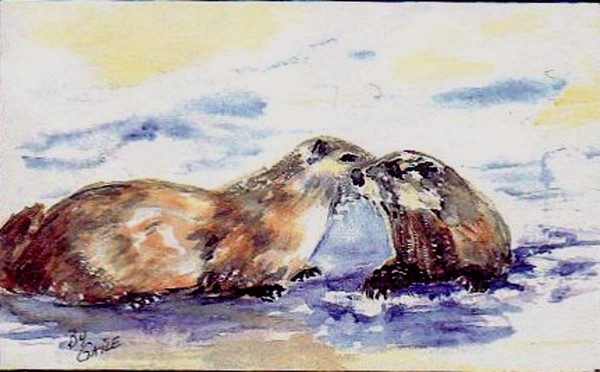 otters