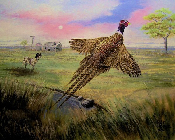 Pheasant Taking Flight