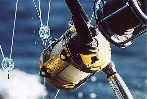 Fishing Reels