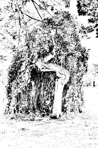 Cemetary Spirit #1