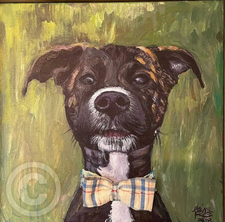 WAYNE WTH A BOWTIE