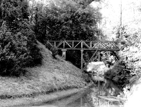 a bridge over silence 