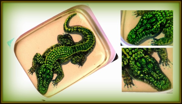 Crocodile 3d